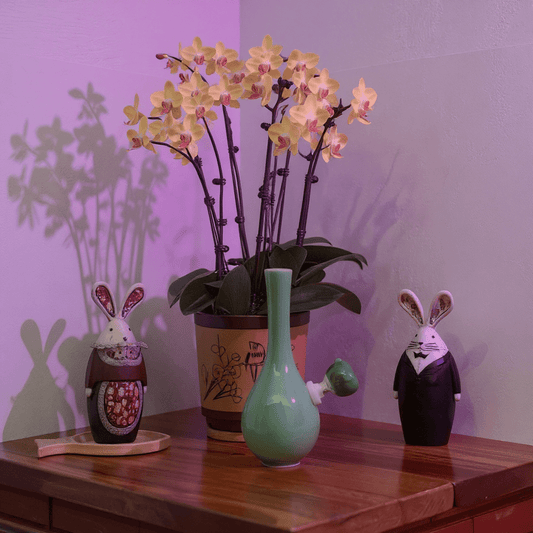 Classic Green Celadon Porcelain Bong with Slim Neck Designslim neck classic green celadon porcelain bong with glass bowl is placed on a wooden surface