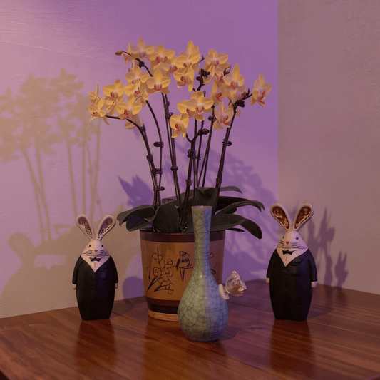 Crackle Glaze Slim Neck Celadon Porcelain Bonga slim neck crackle celadon porcelain bong with glass bowl is placed on a wooden surface.