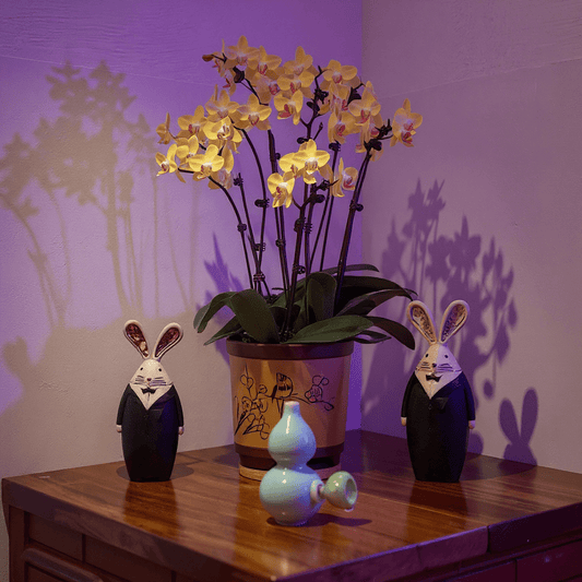 Glossy Blue Celadon Gourd Porcelain BongGlossy Blue Celadon Gourd Porcelain Bong with glass bowl is placed on a wooden surface.