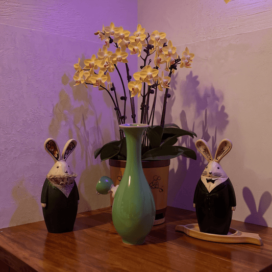 Glossy Green Celadon Bong with Flared TopFlared Neck Glossy Green Celadon Porcelain Bong with glass bowl is placed on a wooden surface.