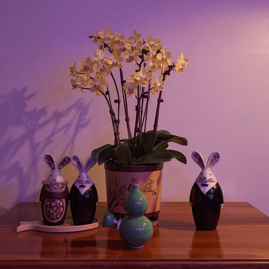 Glossy Green Celadon Gourd Porcelain BongGlossy Green Celadon Gourd Porcelain Bong with glass bowl is placed on a wooden surface.