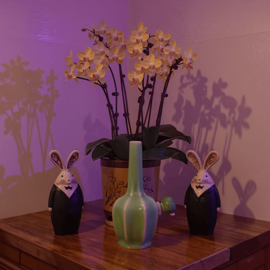 Glossy Green Flat - Sided Celadon Porcelain BongGlossy Green Flat - Sided Celadon Porcelain Bong with glass bowl is placed on a wooden surface.