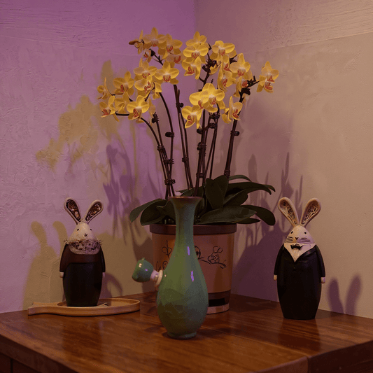 Green Ice - Crack Celadon Porcelain Bong with Flared TopGreen Ice - Crack Celadon Porcelain Bong with glass bowl is placed on a wooden surface.