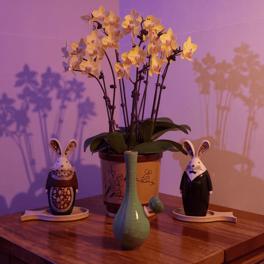 Ice - Crack Celadon Bong with Slim Neck Designslim neck ice - crack celadon ceramic bong with glass bowl is placed on a wooden surface.