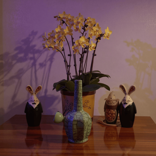 Ice - Crack Light Blue Celadon Flat - Sided Porcelain BongIce - Crack Light Blue Celadon Flat - Sided Porcelain Bong with glass bowl is placed on a wooden surface.