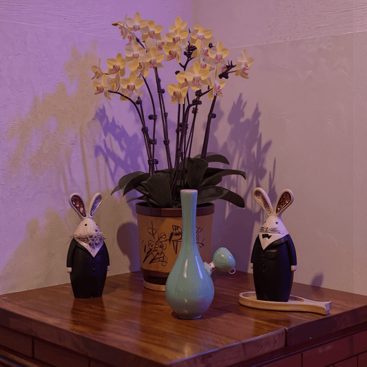 Light Green Slim Neck Celadon Porcelain Bonga slim neck porcelain bong with glass bowl is placed on a wooden surface.