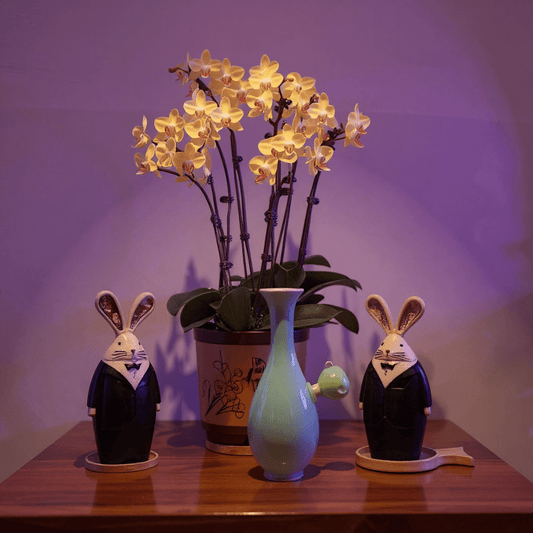 Pale Blue Flared Top Celadon Porcelain BongPale Blue Flared Top Celadon Porcelain Bong with glass bowl is placed on a wooden surface.