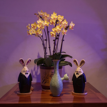 A ice cracked light green porcelain bong is placed on the table