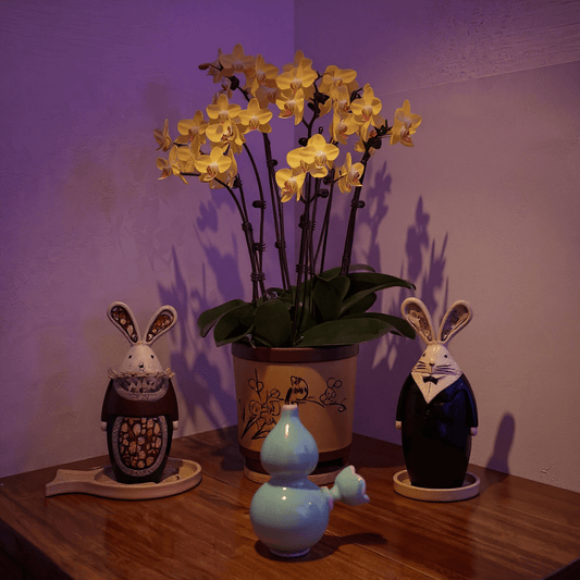 Glossy Blue Celadon Gourd Porcelain BongGlossy Blue Celadon Gourd Porcelain Bong with ceramic bowl is placed on a wooden surface.