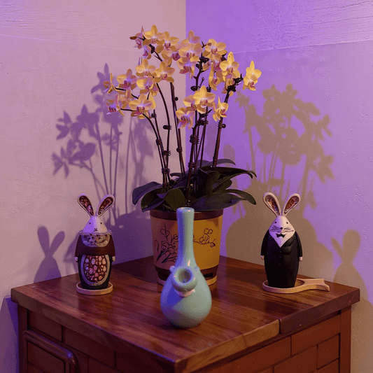 Light Green Celadon Porcelain Bong – Elegant Ceramic Water PipeDecorative items including a small light - green celadon porcelain bong on a wooden surface.